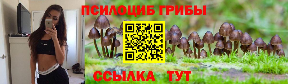 Галлюциногенные грибы GOLDEN TEACHER  где найти наркотики  Псилоцибиновые грибы Magic Shrooms  Кондопога  Вход с VPN 